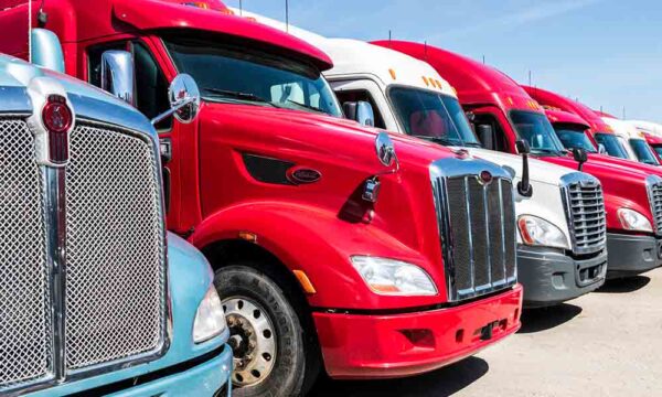 A line of parked semi trucks