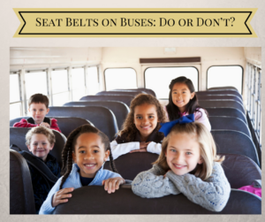 debate seat belts on buses