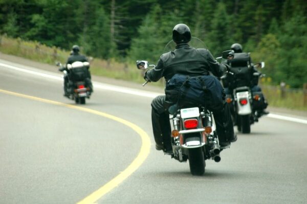 Group of motorcyclists driving down a tree-lined road