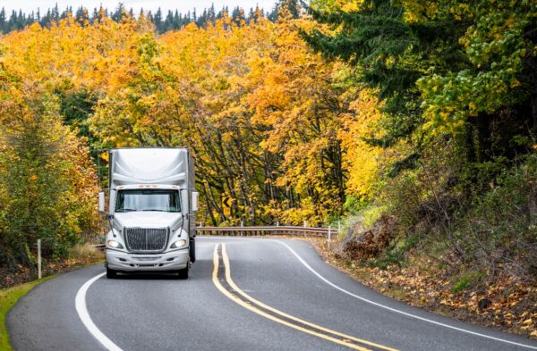 A white tractor trailer truck driving forward on a road lined with yellow-leaved trees.