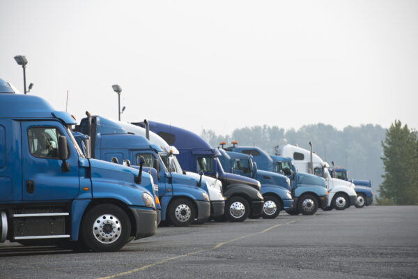 A fleet of blue-cab semi-trucks are parked in front of a row of trees.